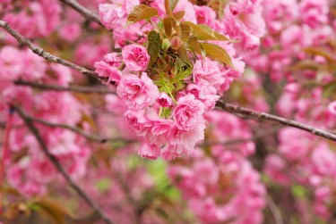 南京玄武区6线下个人借款平台一站式服务，轻松解决资金难题