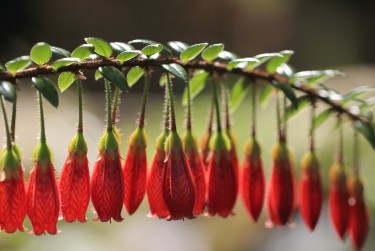 南京玄武区6零用贷短借：轻松解决临时资金需求