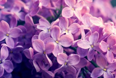 南京玄武区6企业急用钱贷款攻略：快速融资解燃眉之急